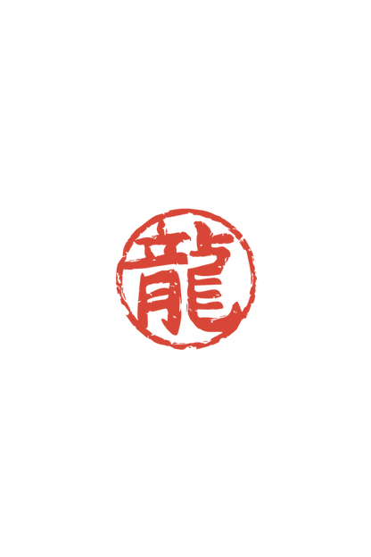 MASTER ROSHI- UNISEX TERRY OVERSIZED T-SHIRT